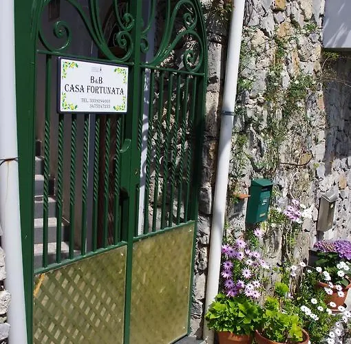 卡萨福尔图纳塔酒店 住宿加早餐酒店